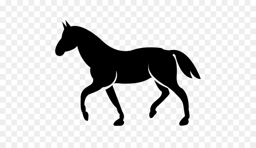 Standardbred The Black Cat Stitchery Tennessee Walking Horse Equestrian - others png download - 512*512 - Free Transparent Standardbred png Download.