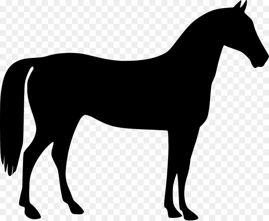 Mustang American Quarter Horse Tennessee Walking Horse Pony - auction png download - 1280*1050 - Free Transparent Mustang png Download.