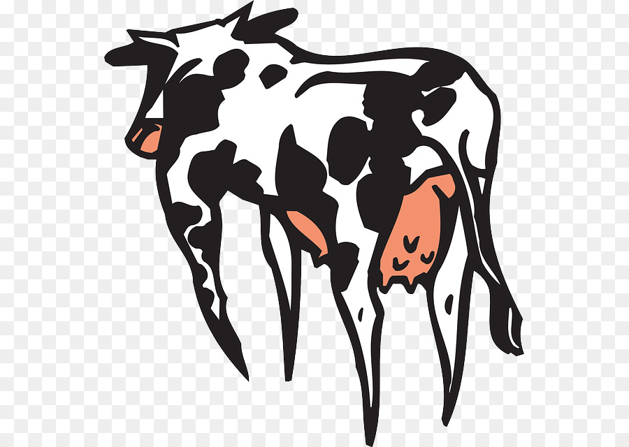Texas Longhorn English Longhorn North Devon cattle Milk Clip art - milk png download - 601*640 - Free Transparent Texas Longhorn png Download.