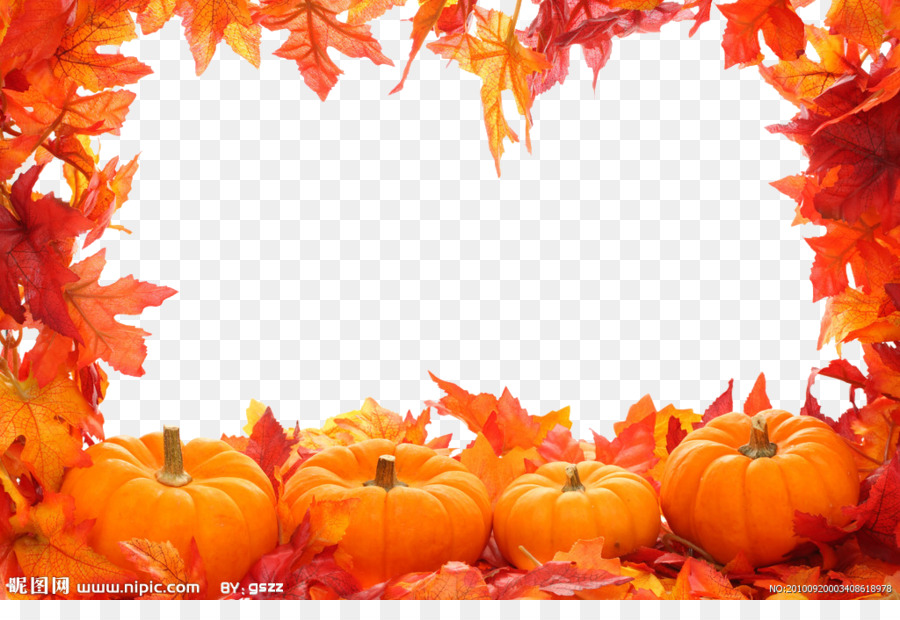 Autumn leaf color Clip art - Autumn Leaves Border png download - 1024*683 - Free Transparent Autumn png Download.