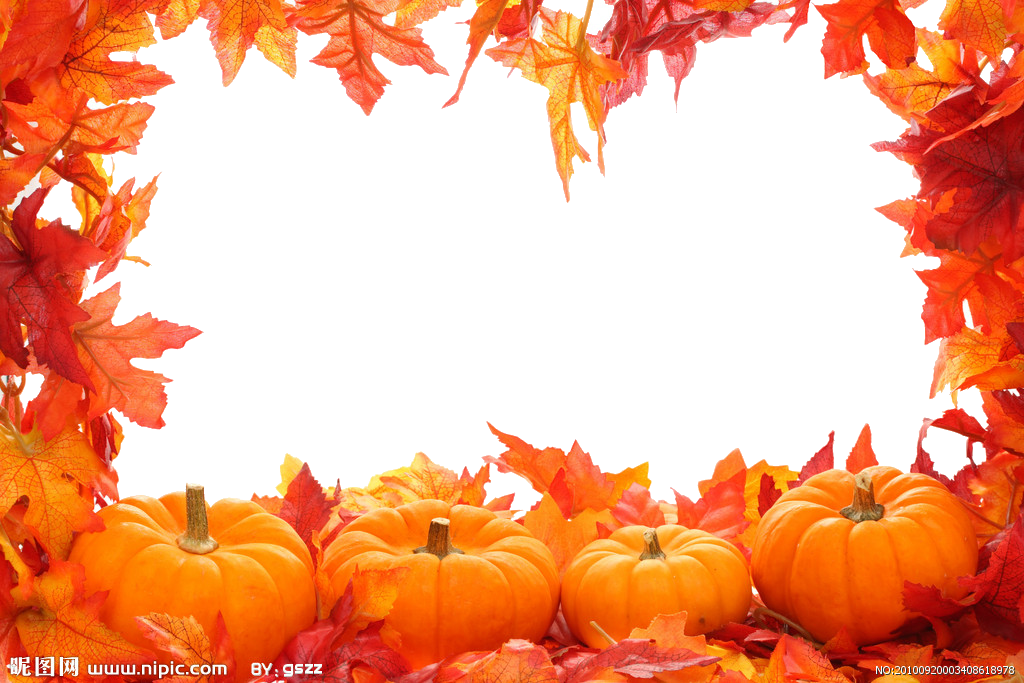 Fall Leaf Border Png Png Image Collection - vrogue.co