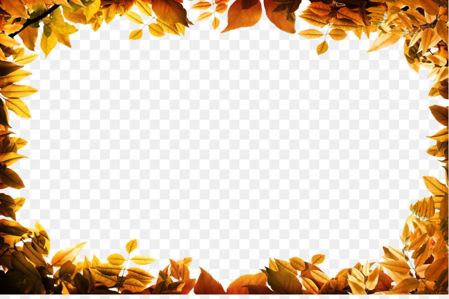 Film frame Leaf Autumn Clip art - Autumn leaves border png download - 5000*3286 - Free Transparent Film Frame png Download.