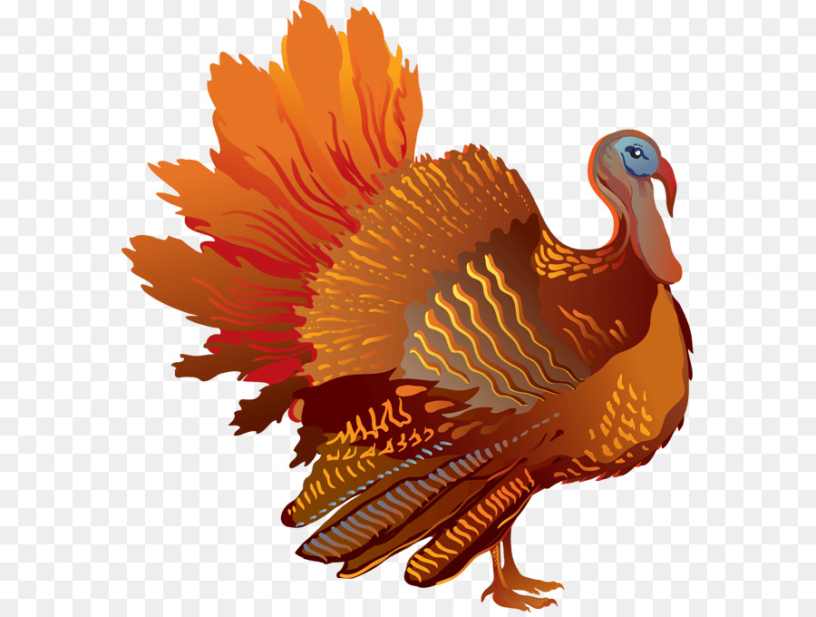 Turkey meat Thanksgiving Clip art - turkey png download - 631*675 - Free Transparent Turkey png Download.