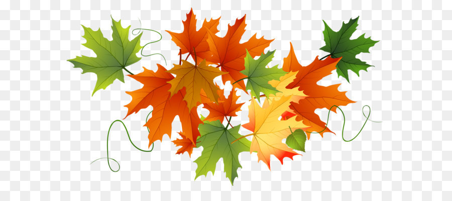 Thanksgiving Clip art - Autumn Transparent Leaves png download - 1319*774 - Free Transparent Cucurbita Maxima png Download.