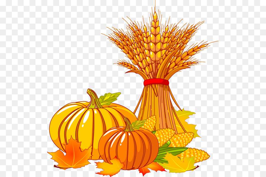 Thanksgiving Autumn Turkey Clip art - Thanksgiving Pumpkin PNG Clipart png download - 581*600 - Free Transparent Thanksgiving png Download.