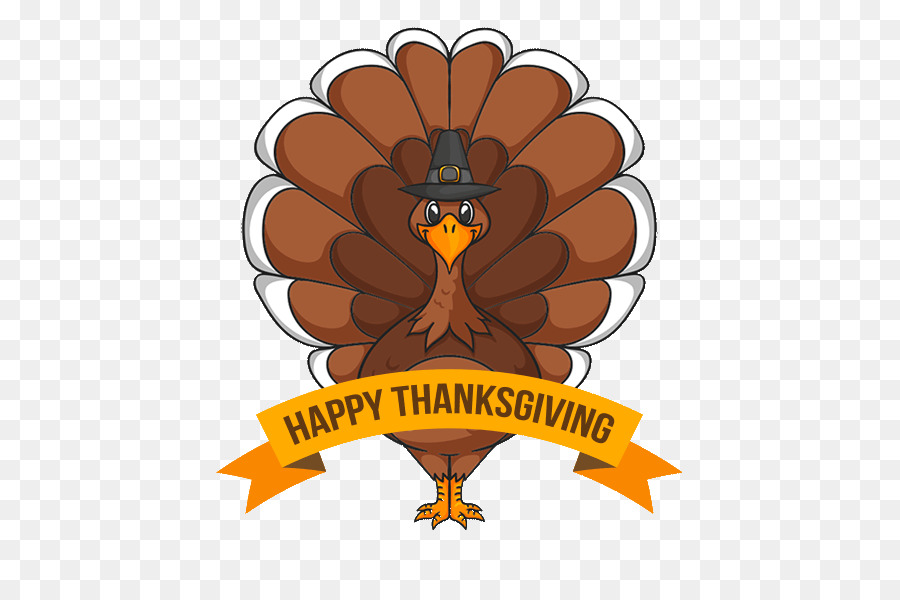 Thanksgiving Turkey meat Clip art - thanksgiving png download - 600*600 - Free Transparent Thanksgiving png Download.