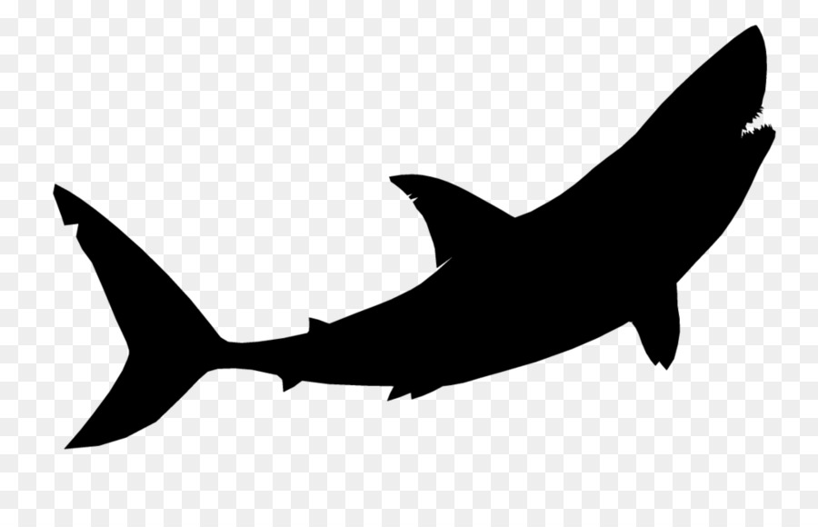 Great white shark Image Tiger shark Vector graphics -  png download - 1024*639 - Free Transparent Shark png Download.