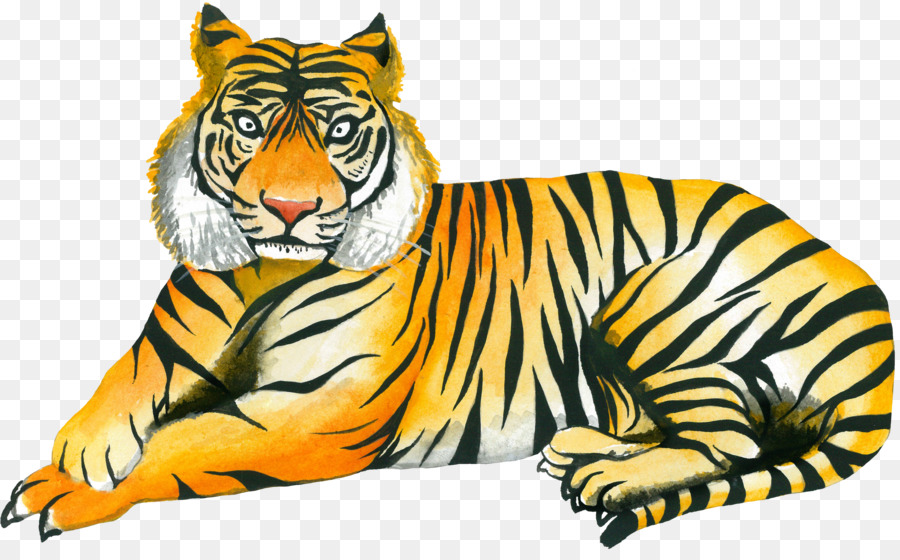 Tiger Cat Whiskers Wildlife Illustration - Yellow tiger png download - 4772*2924 - Free Transparent Tiger png Download.