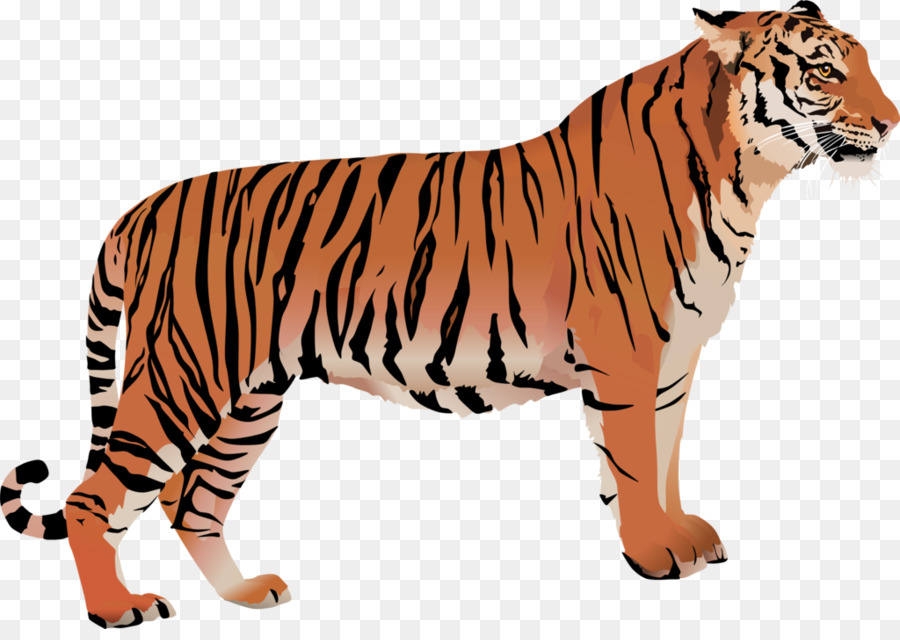 Bengal cat Bengal tiger White tiger Clip art - tiger png download - 1024*716 - Free Transparent Bengal Cat png Download.