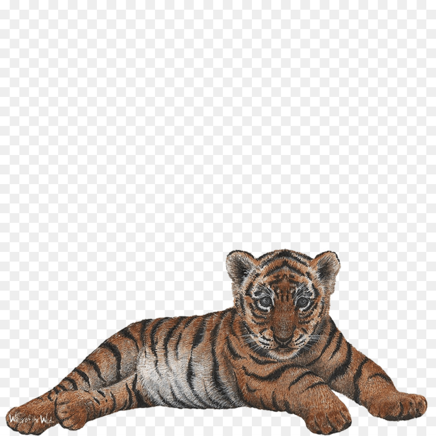 Tiger Wall decal Sticker - tiger cub png download - 1024*1024 - Free Transparent Tiger png Download.