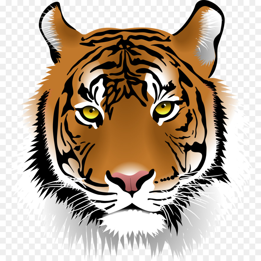 Bengal tiger Cat Clip art - tiger png download - 2400*2400 - Free Transparent Bengal Tiger png Download.