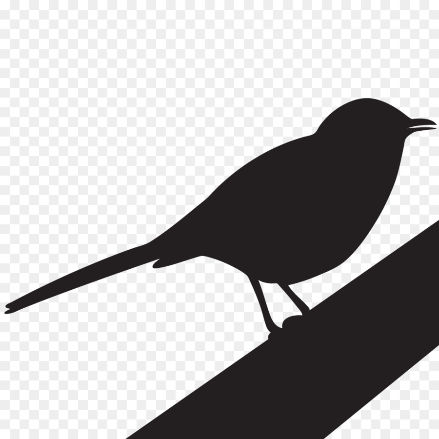 To Kill a Mockingbird Clip art Image Portable Network Graphics - wading birds png download - 1024*1024 - Free Transparent Mockingbird png Download.