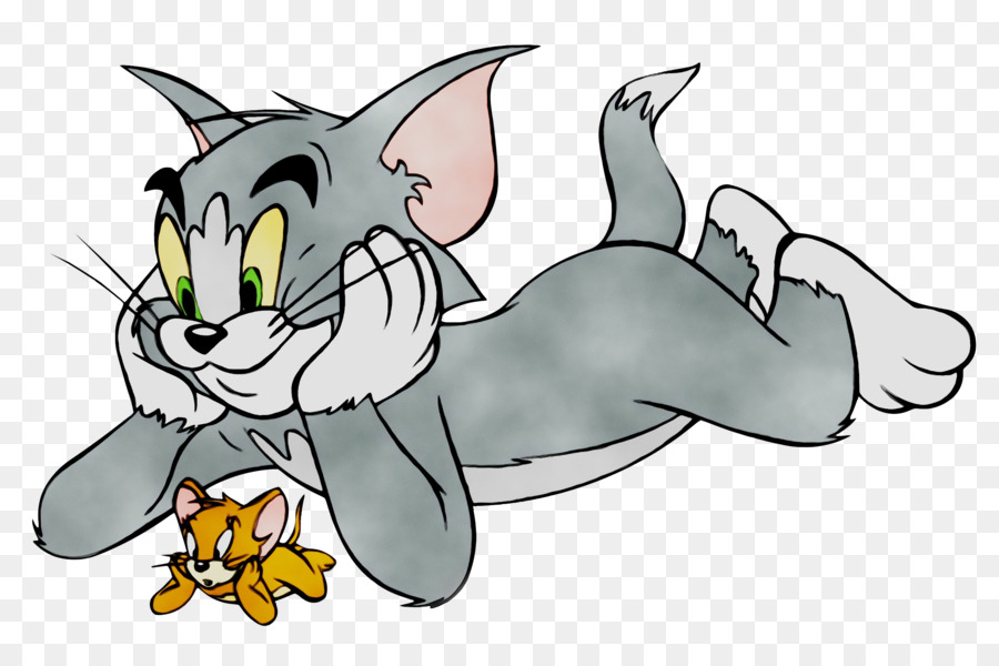Tom Cat Jerry Mouse Nibbles Tom and Jerry Cartoon -  png download - 2565*1686 - Free Transparent Tom Cat png Download.