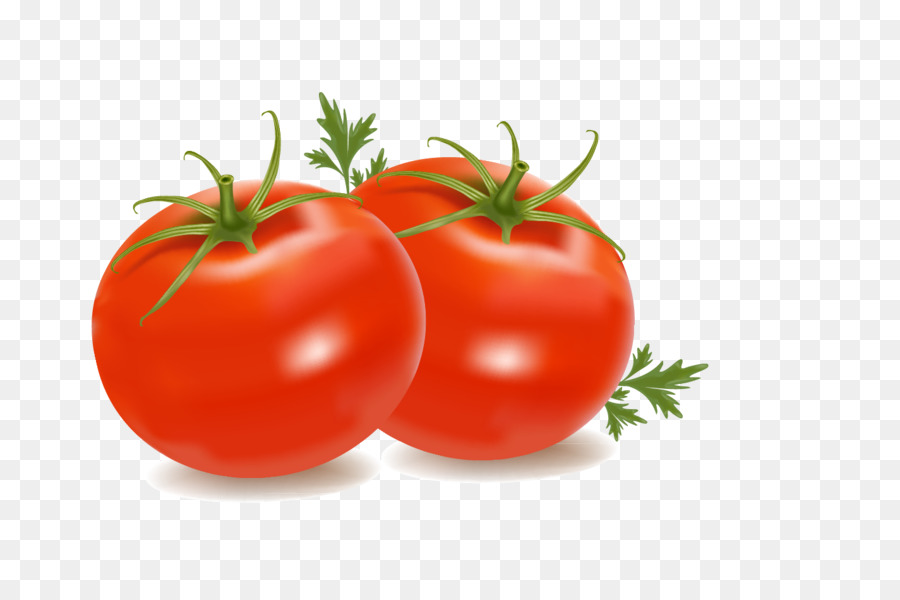 Cherry tomato Clip art - tomato png download - 1425*936 - Free Transparent Cherry Tomato png Download.