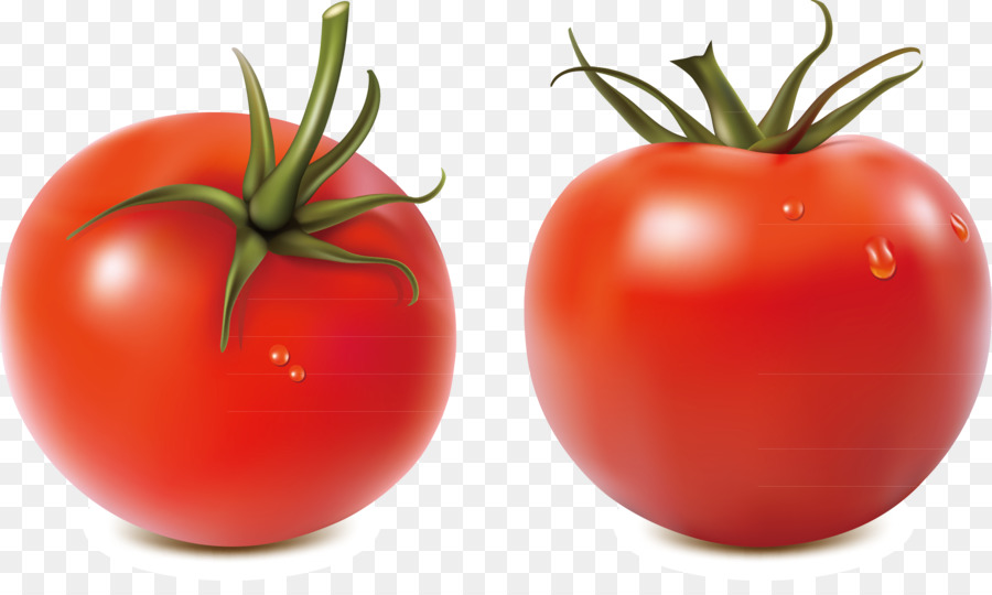Salsa Tomato Royalty-free Illustration - Seasonal vegetable decoration vector png download - 2625*1536 - Free Transparent Salsa png Download.