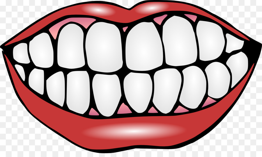 Human tooth Mouth Lip Clip art - Teeth PNG png download - 1979*1158 - Free Transparent  png Download.