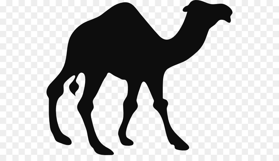 Camel Silhouette Black and white Clip art - Camel PNG png download - 600*501 - Free Transparent Dromedary png Download.