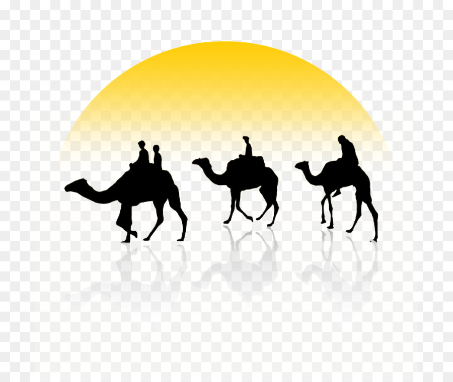 Bactrian camel Dromedary Camel train Clip art - Sunset camel silhouette png download - 761*759 - Free Transparent Bactrian Camel png Download.