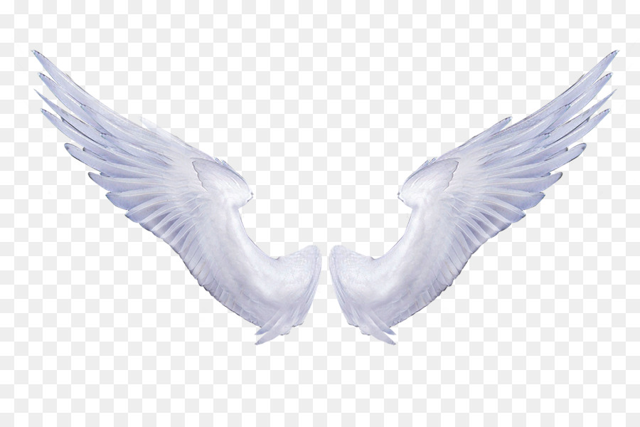 Wing Angel Clip art - Black And White Angels png download - 900*600 - Free Transparent Wing png Download.