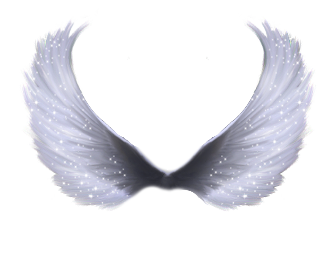 Angel's Feather - MyAnimeList.net