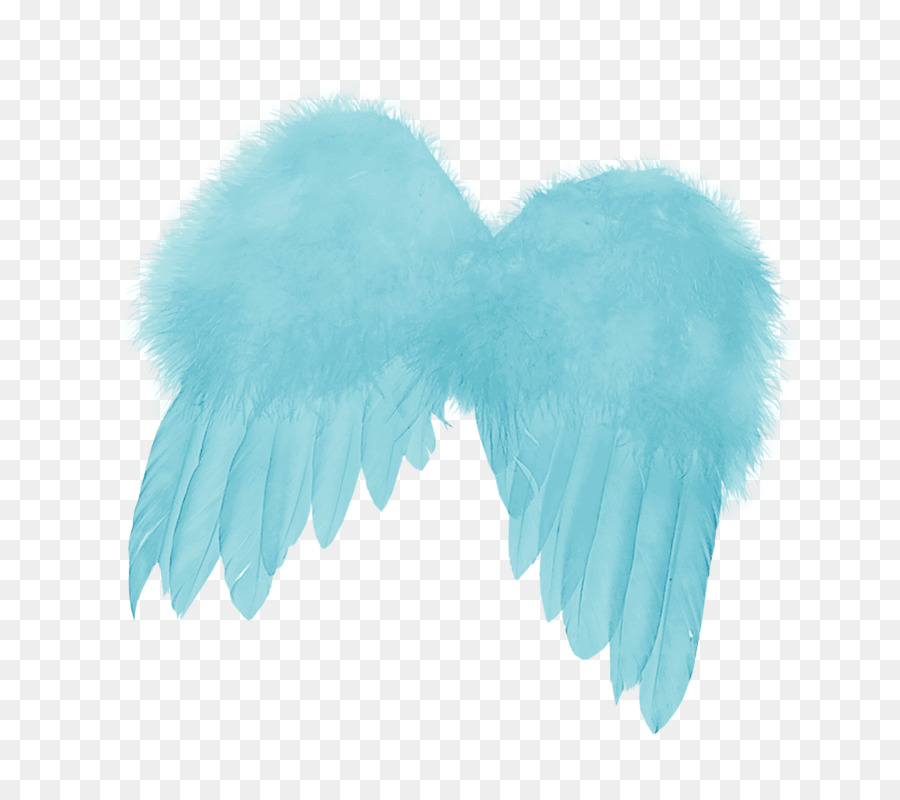 Feather Angels Angel wing - feather png download - 776*800 - Free Transparent Feather png Download.