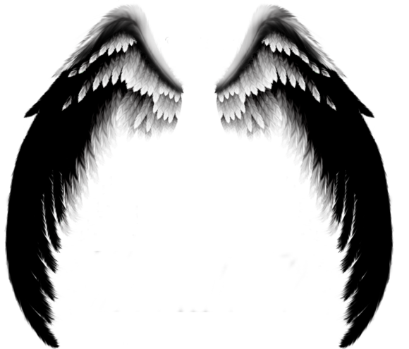 DeviantArt Wing Angel - wing png download - 580*495 - Free Transparent ...