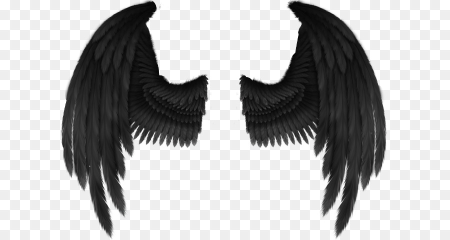 Cherub Angel Wing Fantasy - angel png download - 655*480 - Free Transparent Cherub png Download.