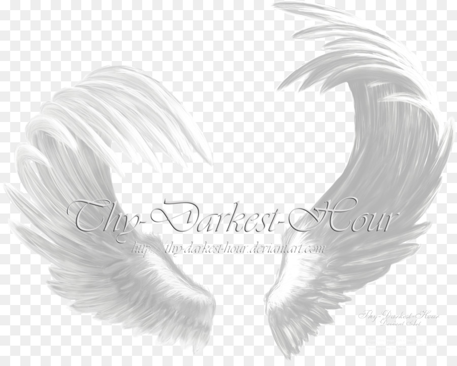 Wing Angel Clip art - angel wing png download - 900*711 - Free Transparent Wing png Download.