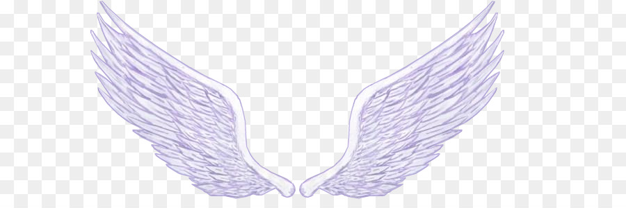 Angel Wing Taiwan ???? - angel png download - 662*287 - Free Transparent Angel png Download.