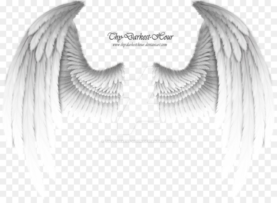 Angel Wing - white wings png download - 1024*745 - Free Transparent Angel png Download.