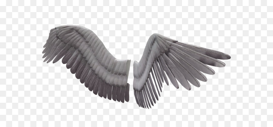 3D computer graphics Wing Clip art - Wings PNG png download - 1024*639 - Free Transparent 3D Computer Graphics png Download.