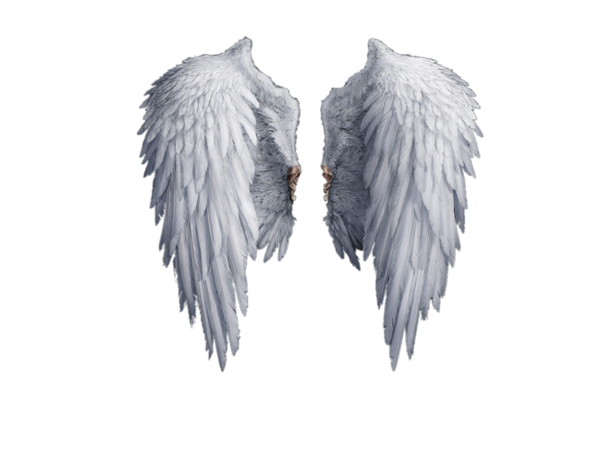 Stock photography Drawing Clip art - angel wings png download - 900*675 ...