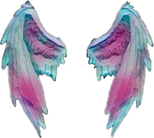Sticker Wing Desktop Wallpaper - angel wings png download - 608*545 ...
