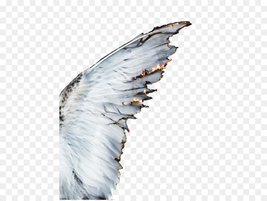 Aesthetics Castiel Photography Angel - others png download - 500*676 - Free Transparent  Aesthetics png Download.