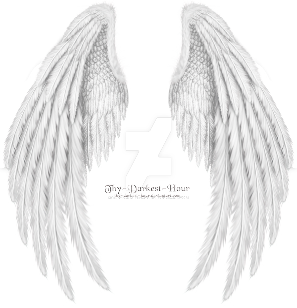 Drawing Angel Clip art - angel wings png download - 1024*1059 - Free ...