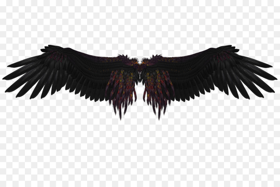Angel - wings png download - 1280*853 - Free Transparent Angel png Download.