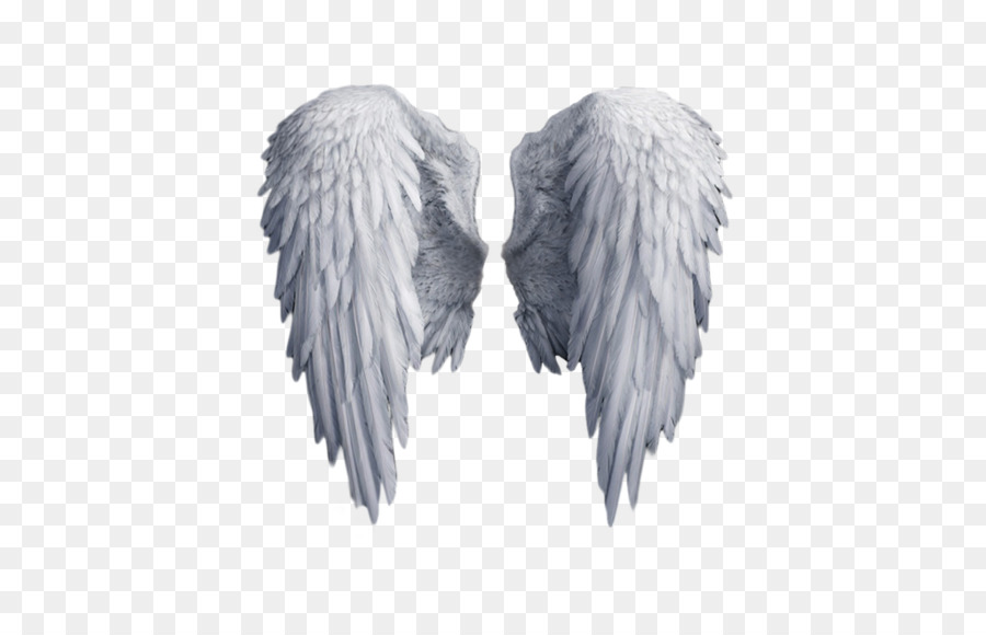 Clip art - angel wings png download - 1024*640 - Free Transparent Download png Download.