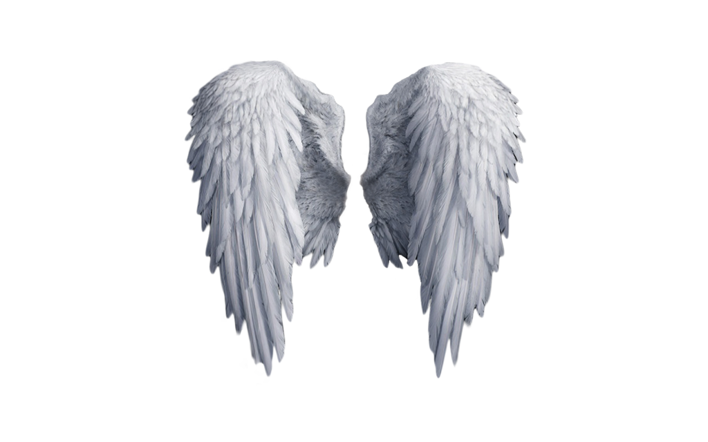 Clip art - angel wings png download - 1024*640 - Free Transparent ...