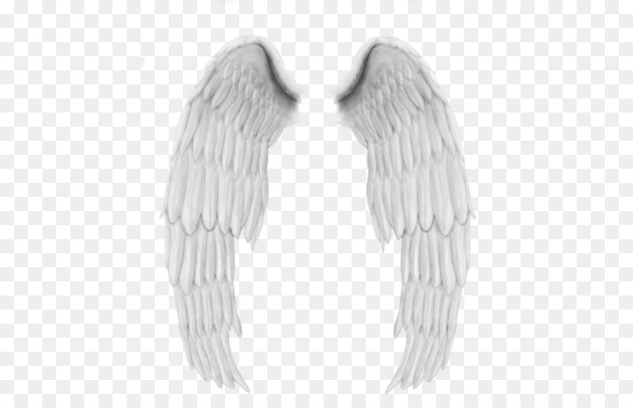 Angel wings Paper - Top Angle png download - 500*561 - Free Transparent Angel Wings png Download.