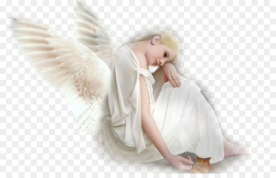 Guardian angel - angel png download - 850*566 - Free Transparent Angel png Download.