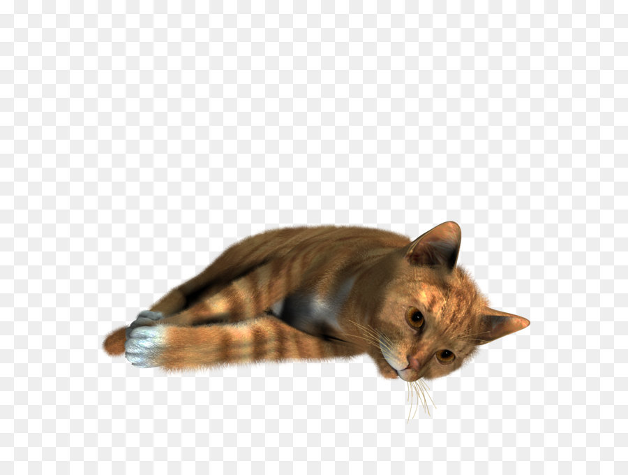 Siamese cat Kitten - Cat PNG image png download - 1490*1520 - Free Transparent Siamese Cat png Download.