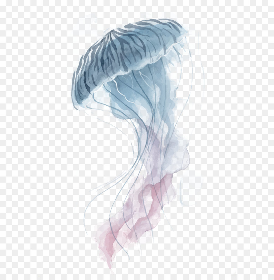 Jellyfish Watercolor painting - Vector jellyfish png download - 1074*1500 - Free Transparent Jellyfish png Download.