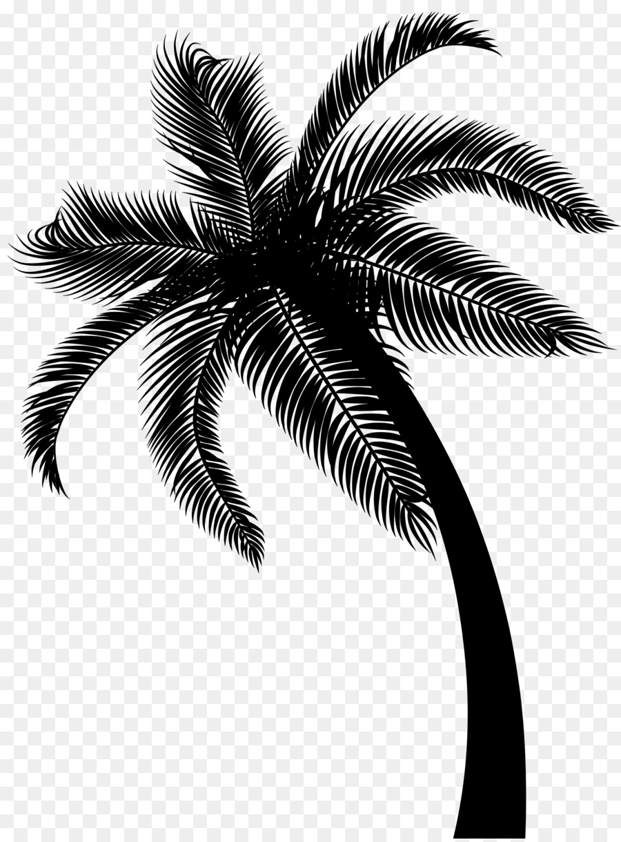 Coconut Date palm Leaf Palm trees -  png download - 4446*6000 - Free Transparent Coconut png Download.