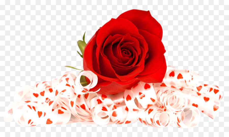 Rose Clip art - Red Rose png download - 1420*845 - Free Transparent Rose png Download.