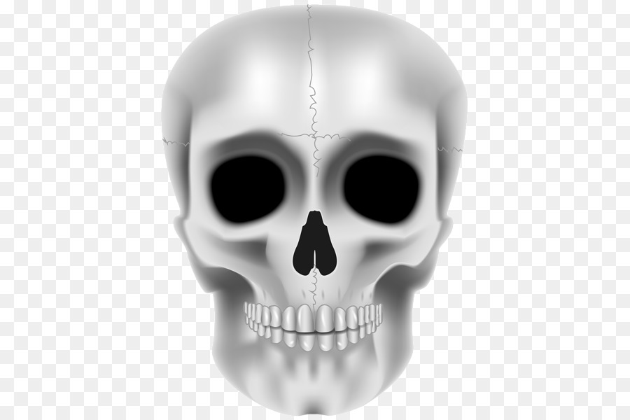 Jaw Skull Skeleton Product design - skull png download - 451*600 - Free Transparent Jaw png Download.