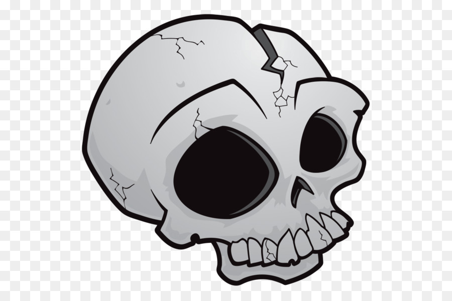 Portable Network Graphics Drawing Skull Image Vector graphics - skull png download - 1160*772 - Free Transparent Drawing png Download.