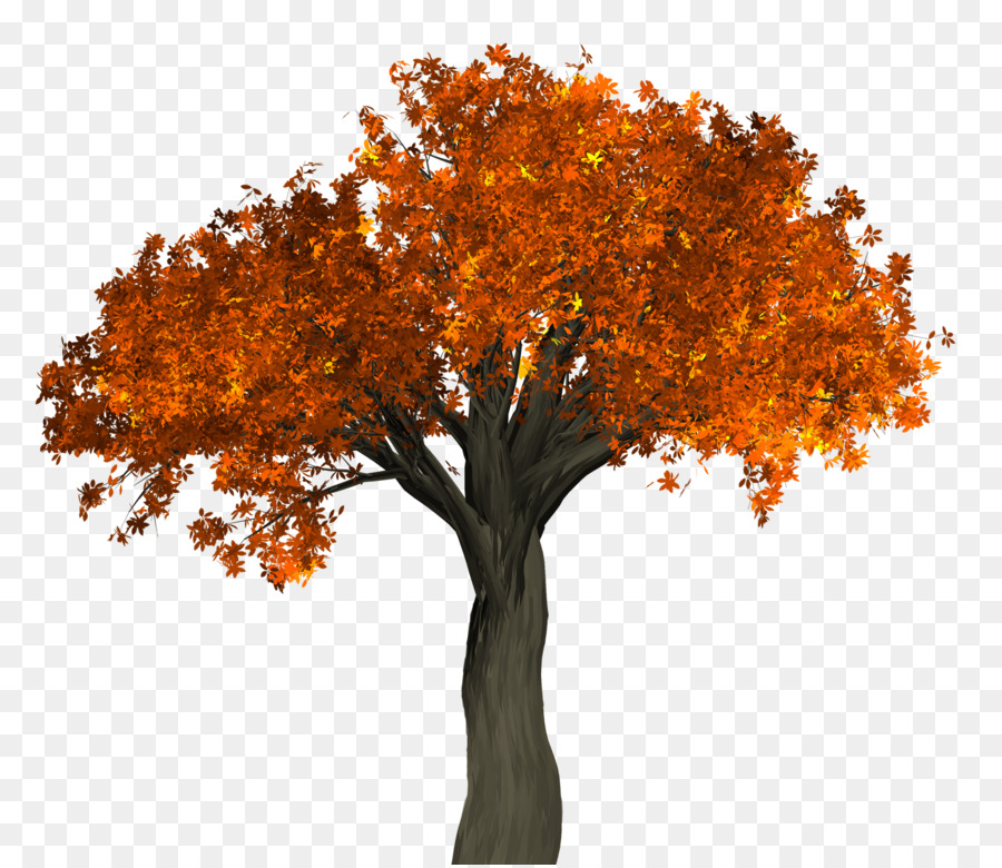 Tree - Autumn Tree png download - 1600*1382 - Free Transparent Tree png Download.