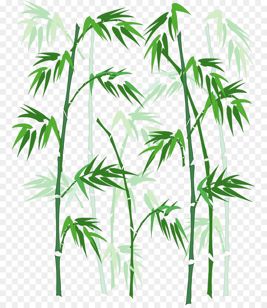 Bamboo - Vector Hand-painted bamboo png download - 821*1032 - Free Transparent Bamboo png Download.