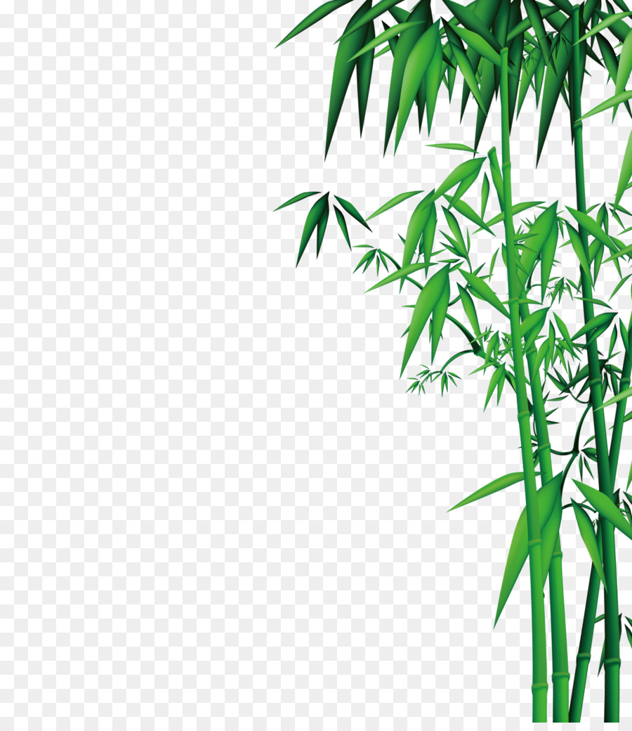 Bamboo Download - Bamboo png download - 2000*2284 - Free Transparent Bamboo png Download.