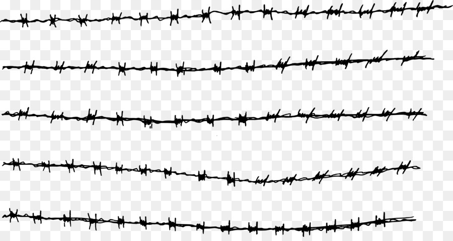 Barbed wire Fence - wire png download - 4000*2097 - Free Transparent  png Download.